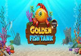 golden fish tank img